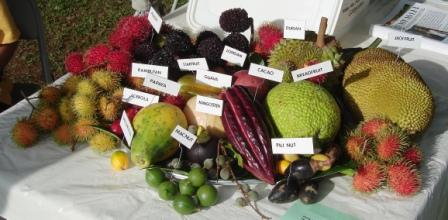 Hilo Hawaii Fruit